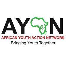 Job - Finance Assistant job at African Youth Action Network (AYAN)